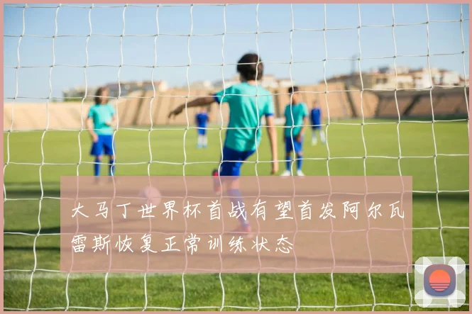 大马丁世界杯首战有望首发阿尔瓦雷斯恢复正常训练状态